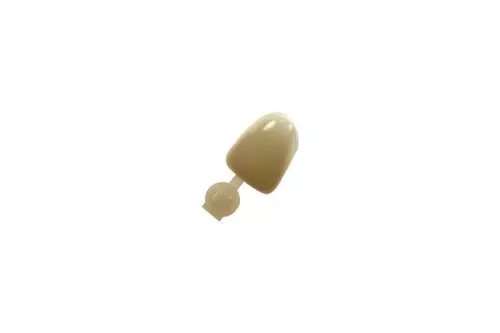 Couronne Ion Polycarbonate 012 5pcs