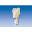 Couronne Ion Polycarbonate 016 5pcs