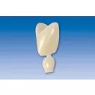 Couronne Ion Polycarbonate 017 5pcs