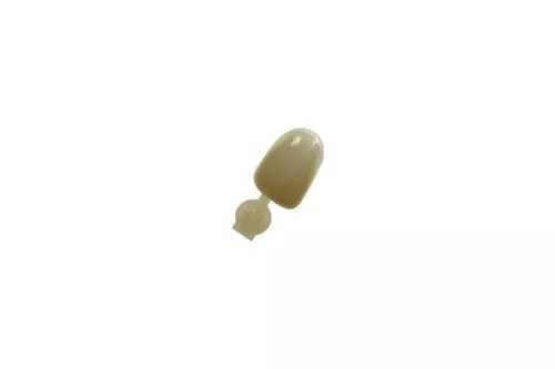 Couronne Ion Polycarbonate 020 5pcs