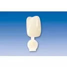 Couronne Ion Polycarbonate 023 5pcs