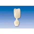 Couronne Ion Polycarbonate 024 5pcs