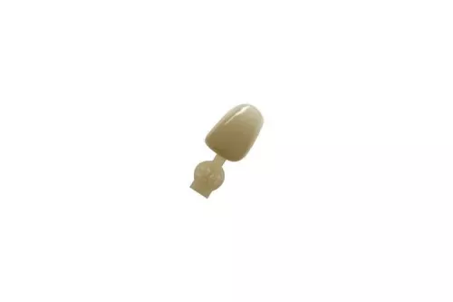 Couronne Ion Polycarbonate 026 5pcs