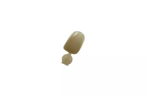 Couronne Ion Polycarbonate 029 5pcs