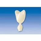 Couronne Ion Polycarbonate 032 5pcs