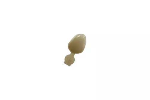 Couronne Ion Polycarbonate 035 5pcs