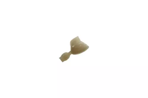 Couronne Ion Polycarbonate 053 5pcs