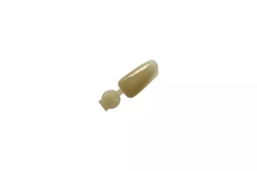 Couronne Ion Polycarbonate 062 5pcs