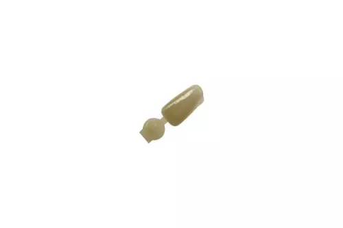 Couronne Ion Polycarbonate 064 5pcs