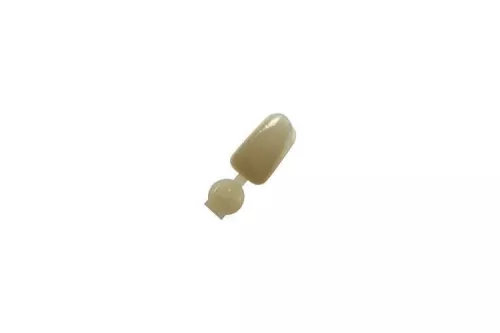Couronne Ion Polycarbonate 068 5pcs
