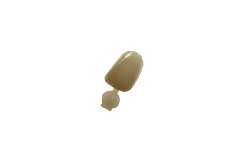 Couronne Ion Polycarbonate 200 5pcs