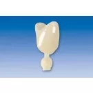 Couronne Ion Polycarbonate 300 5pcs