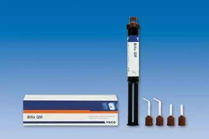 Bifix Qm Seringue T 10gr