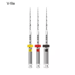 V-File R40 31Mm  6pcs