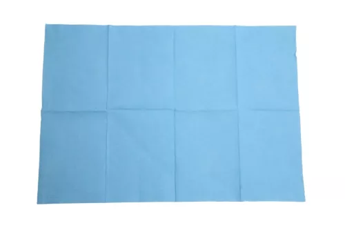 Serviettes Patients 2Plis Bleu 500pcs