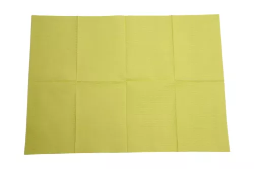 Serviettes Patients 2Plis Vert Clair 500pcs