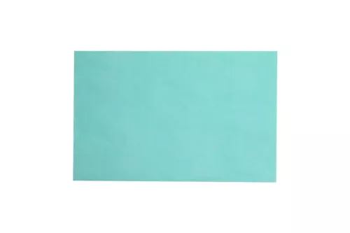 Tray Paper 28X18Cm Vert 250pcs