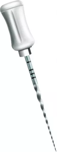 Protaper Shaping Manuel 19 Mm Sx 6pcs