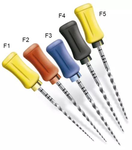 Protaper Finishing Manuel 21Mm F2 6pcs