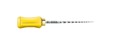 Protaper Assort Manuel 25Mm New 6pcs