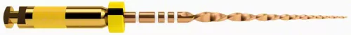 Wave One Gold 31Mm Small Jaune 6pcs