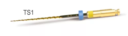 2Shape Ts1 21Mm Iso 25 4% Sterile